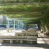 Las pergolas en Sevilla