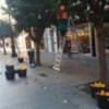 Comienza la recogida de la naranja en las calles y plazas de Sevilla.