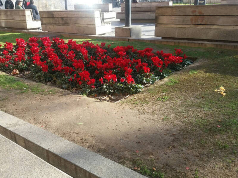 Conservación y mantenimiento del césped.