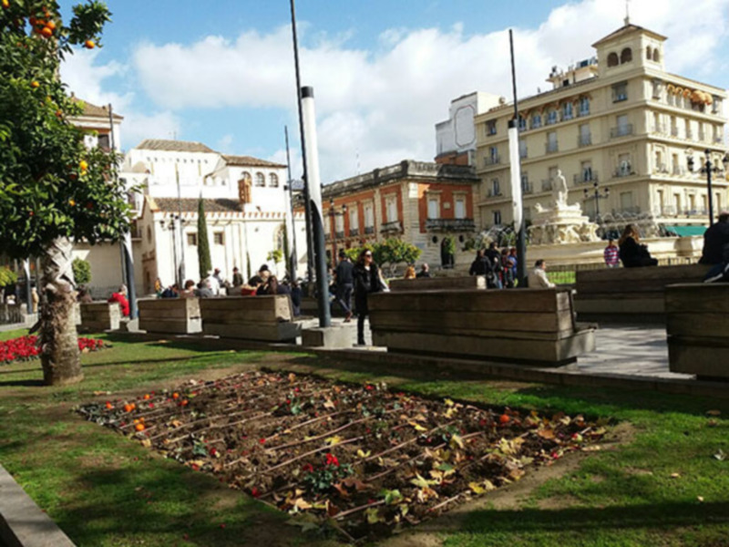 La lluvia y el viento provoca daños en parques y jardines