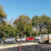 Trabajos de plantación y mantenimiento en la mediana de la calle Torneo