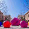 La Roca Village inauguró la primera exposición del movimiento artístico Cracking Art en nuestro país