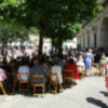 Bajo la sombra de los naranjos de la Plaza Nueva.