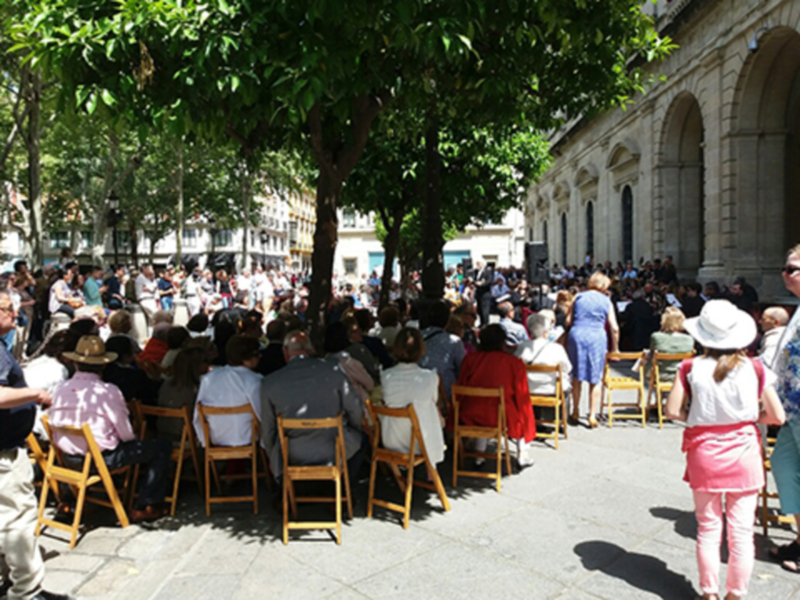 Bajo la sombra de los naranjos de la Plaza Nueva.