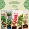 Rivera Garden organiza los días 13 y 14 de mayo su anual exposición de bonsáis y cursos con un experto nacional