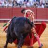 Gran tarde de Antonio Ferrera, que da dos vueltas al ruedo