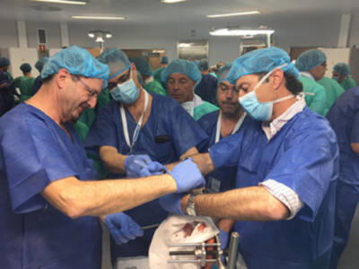 El Hospital Vithas Nisa Sevilla acoge la organización de un curso teórico práctico sobre artroplastia de hombro