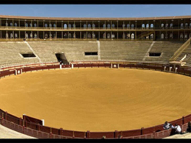 Sanción económica a los tres asaltantes antitaurinos en la novillada de agosto en Alicante