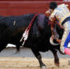 Feria de San Isidro Madrid, 27 de mayo de 2017.