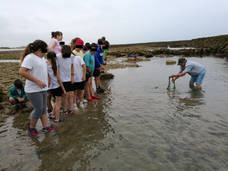 Concluye el programa de Jarife y Educación para acercar a los escolares los corrales y su arte de pesca milenario