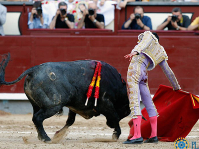 Feria de San Isidro Madrid, 3 de junio de 2017.