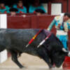 Antonio Ferrera escucha palmas en la corrida de Adolfo Martín