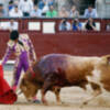 Novillada de triunfadores Madrid, 18 de junio de 2017.