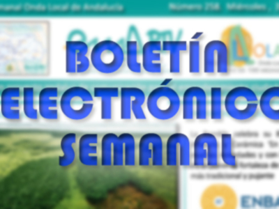 Boletín Informativo Semanal de Andalucía, edición 258. Información sobre actividades y eventos en la región de Andalucía, con enfoque en industria y economía.