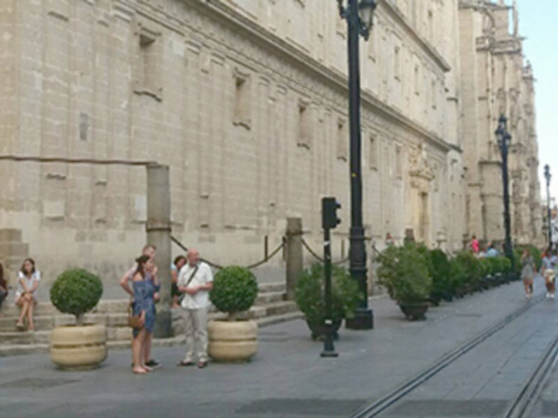 Nueva imagen de la avenida de la Constitución