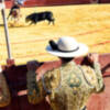 Corrida de toros homenaje a Ramón  Soto Vargas en su pueblo natal Camas.