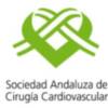Sevilla se convierte en la ciudad andaluza de la cirugía cardiovascular