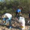 Eriphia muestra su satisfacción por la retirada de 1.100 kilos de uña de león en las jornadas de erradicación de flora invasora