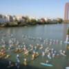 El Club Piragüismo Triana, protagonista en la Copa de España de paddle surf