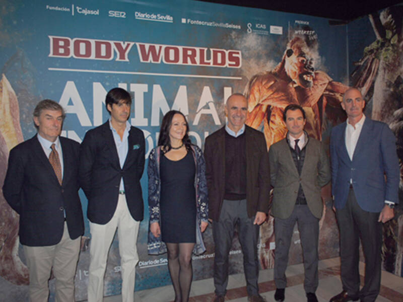 El Casino de la Exposición acoge la muestra ‘Animal Inside Out’