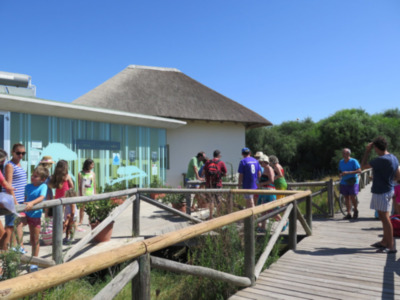 Una multitud de personas disfrutando de un día soleado en la playa, con una estructura de madera y una casa de playa en el fondo.