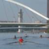 Segunda regata de la 21ª Copa de Andalucía de remo