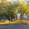 Sevilla se prepara para la llegada de la Primavera el gran momento de la ciudad.