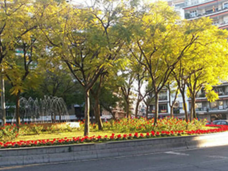 Sevilla se prepara para la llegada de la Primavera el gran momento de la ciudad.