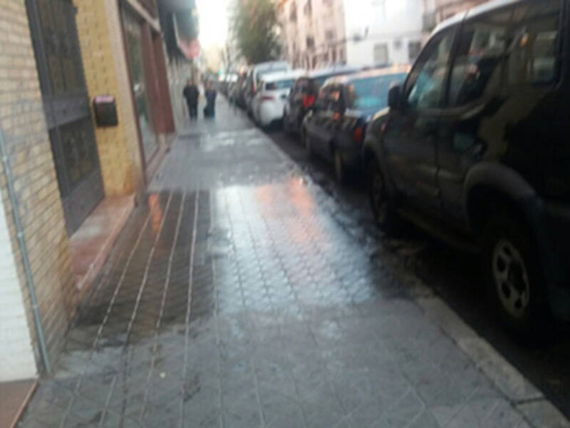 Los excrementos caninos y los orines un problema de higiene en algunas calles de la ciudad