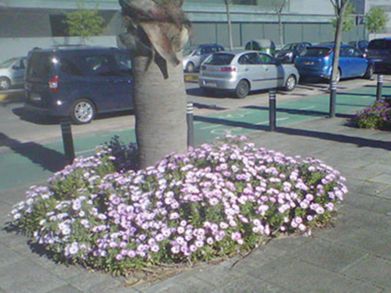 Hoy llega la Primavera Biológica