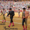 Valladolid cartelazo con Morante en San Pedro Regalado