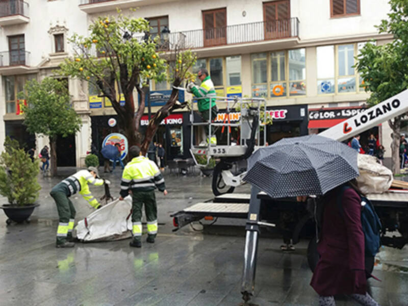 Faltan 15 días para el Domingo de Ramos
