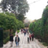 Continúan cerrados algunos parques y jardines de Sevilla para evitar riesgos de caída de árboles y palmeras.