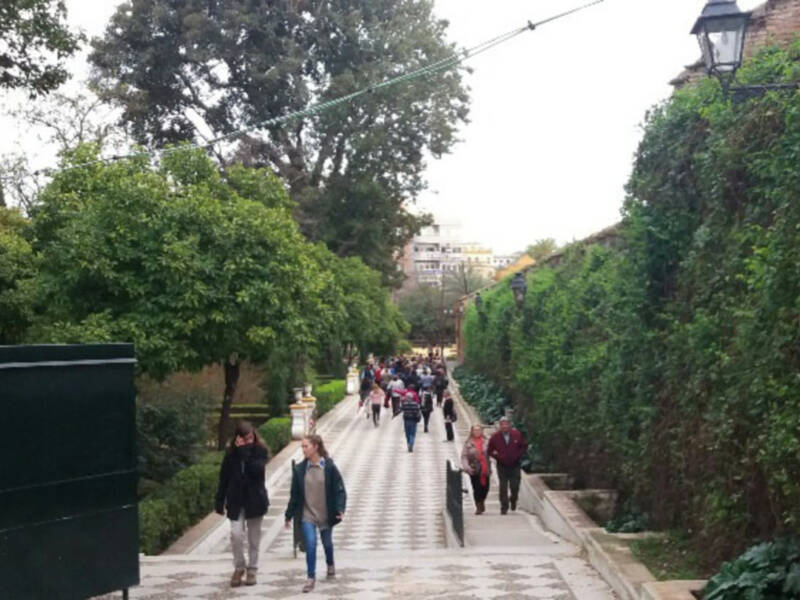 Continúan cerrados algunos parques y jardines de Sevilla para evitar riesgos de caída de árboles y palmeras.