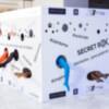 La X Pasarela Newmodels, plataforma de innovación para presentar colecciones