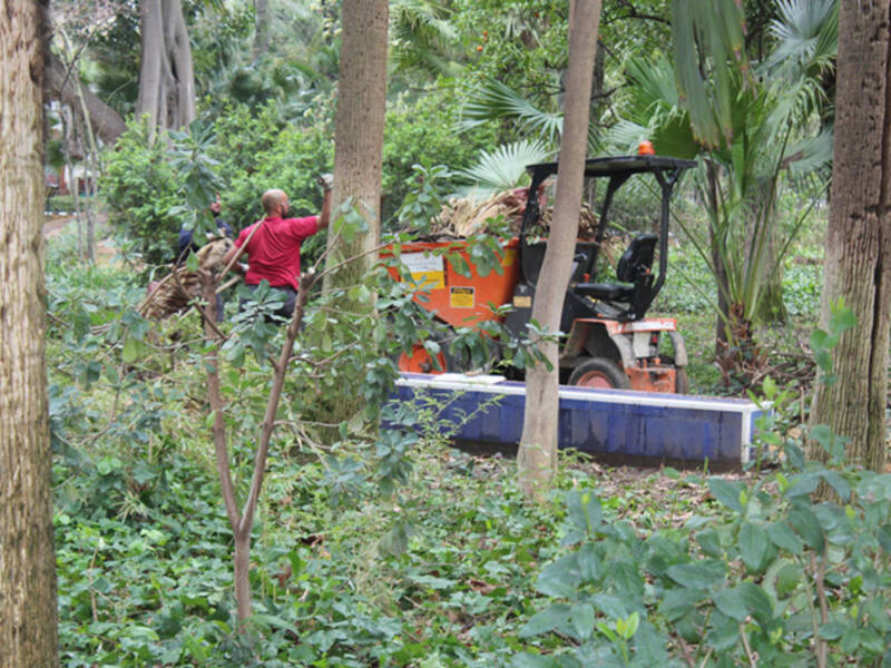 Zafarrancho contra efectos del temporal