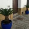 La mejora del entorno de Juan Carlos I continúa con la colocación de maceteros de cerámica con plantas en Fray Baldomero