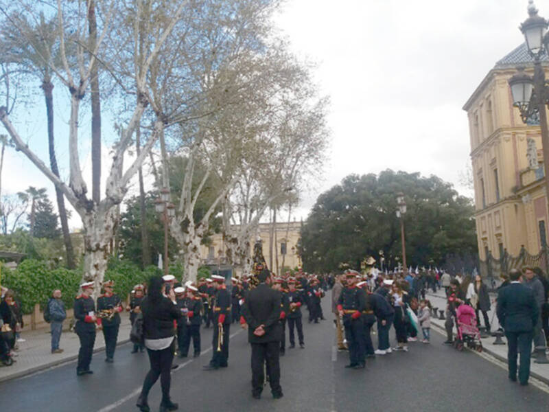 Domingo de Ramos