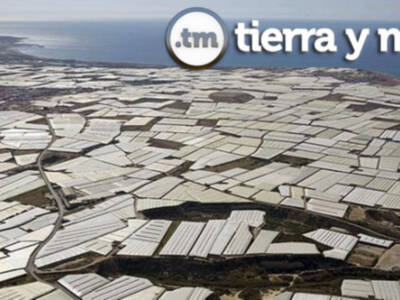 Invernaderos de vanguardia, este domingo en "Tierra y Mar"