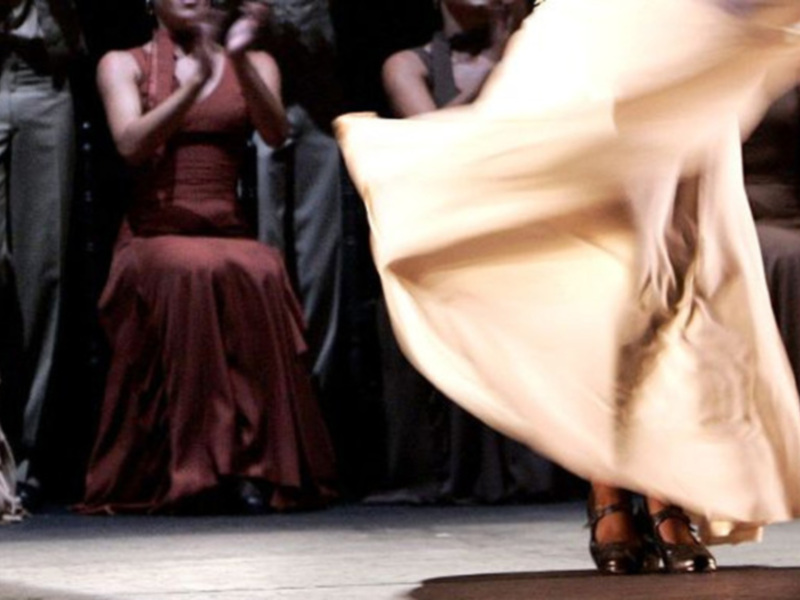 Mujeres gitanas y la nueva generación de flamencas, en "Los Reporteros"