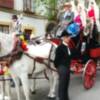Domingo de Feria