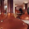 HEINEKEN ha trasladado hoy las antiguas calderas de cocimiento de la emblemática factoría de cerveza Cruzcampo de la avenida de Andalucía de Sevilla