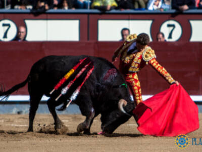 Firmeza de Diego Carretero y cogida a García Navarrete