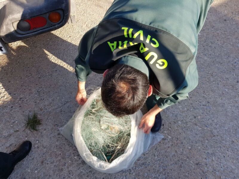 La Guardia Civil de Chipiona desmonta un trasmallo de cincuenta metros frente a Costa Ballena