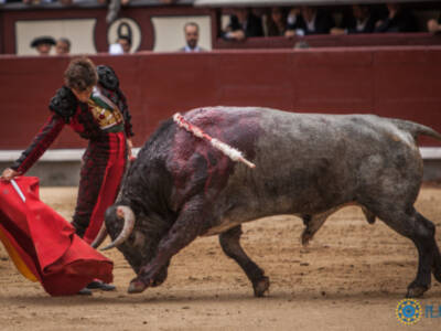 Robleño saluda ovación y Bolívar destaca al natural ante el buen sexto