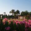 El Jardín del Tiempo en estado de abandono
