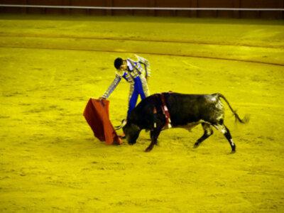 Kevin de Luis, dolor y triunfo en la nocturna en la maestranza.