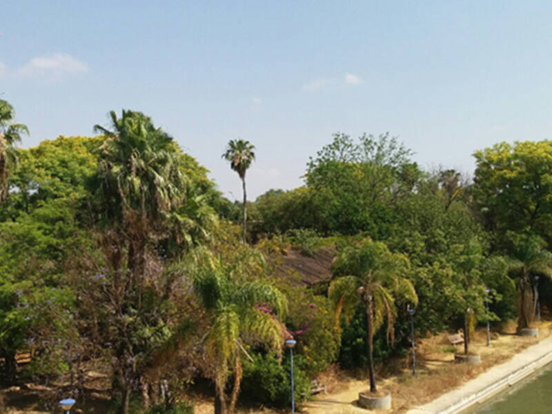 El Jardín Americano se abrirá al público esta próxima semana según informan medios locales.