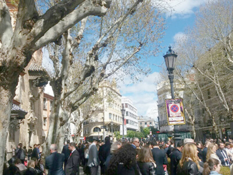 La sustitución de árboles en calles y plazas.