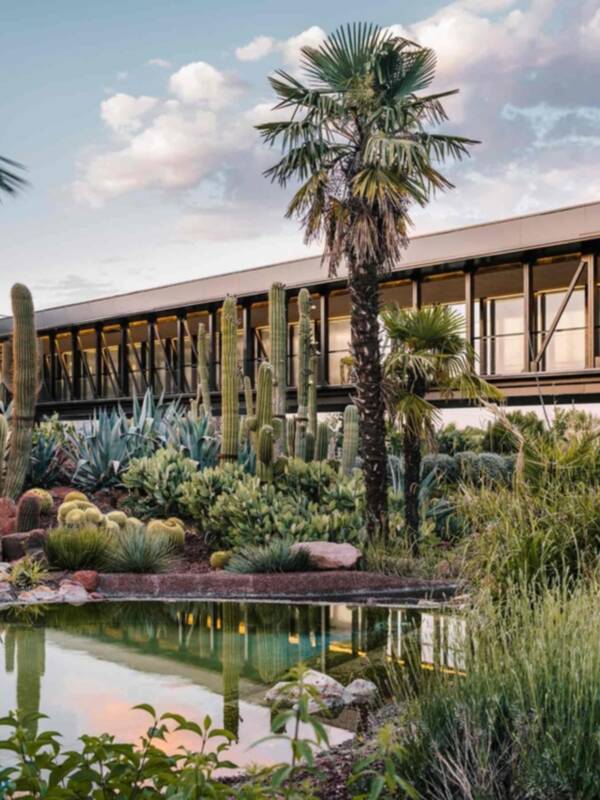 Madrid ya tiene su propio jardín de cactus